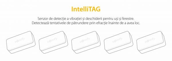 Intellitag™  Senzor pentru usa/fereastra interior sau exterior, Compatibil cu Somfy One, One+, Home Alarm, Pachet 5 bucati [1]