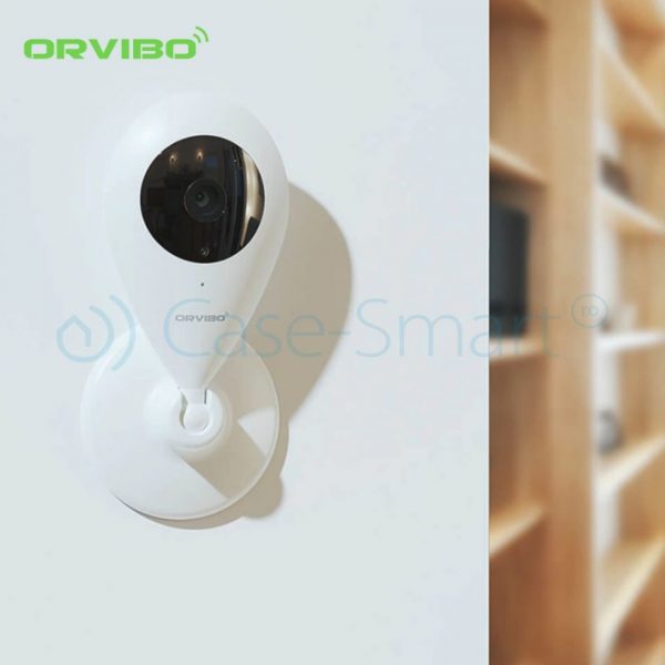 Camera de supraveghere inteligenta Wi-Fi Orvibo cu infrarosu [1]