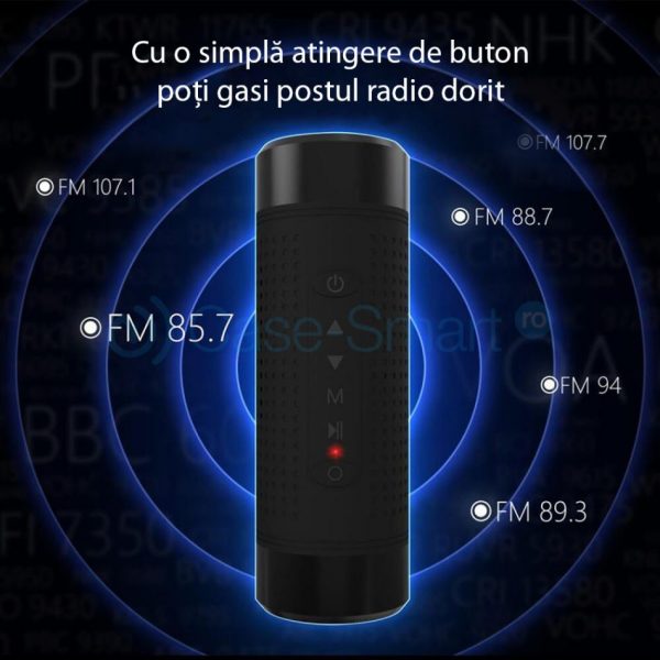 Boxa portabila cu Bluetooth, radio FM Red Sun, lanterna, powerbank [1]