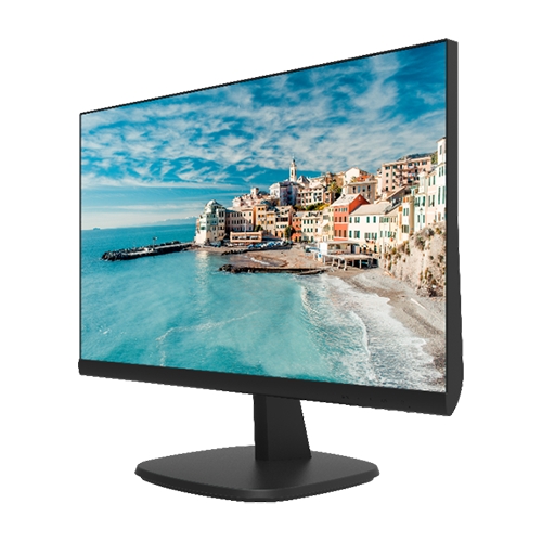 Monitor LED FullHD 24inch, HDMI, VGA - HIKVISION DS-D5024FN [1]