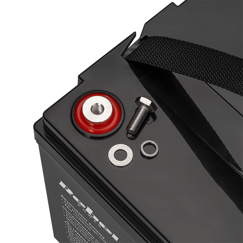 UPS profesional pentru centrala termica Sinus Pur 1000VA 700W 12V Display LCD si 2 Iesiri Schuko, acumulator gel 12V 100Ah Rebel [1]