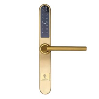 Yala Inteligenta MONACO GOLD cu Amprenta, pentru casa/heteluri, Wi-Fi, Bluetooth, PIN, RFID si Control din Telefon [1]