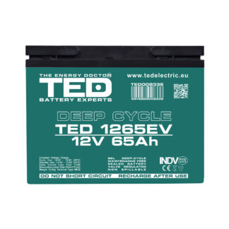 Acumulator TED Electric,  AGM VRLA 12V 65Ah Deep Cycle Dimensiuni 224 x 150 x 175 mm Pentru Vehicule Electrice M6 - X00003287